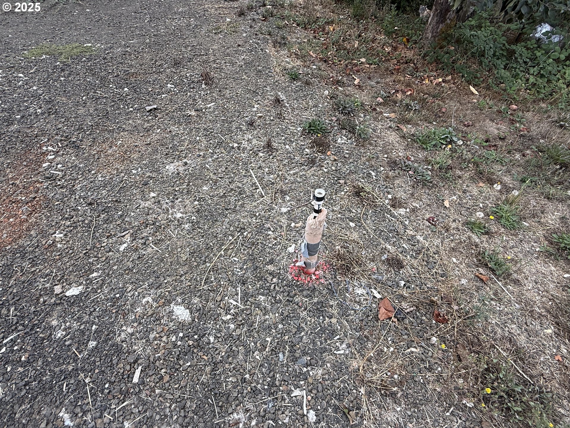 271 Southeast Robinson Street Winston, OR 97496 - Photo 8 of 20