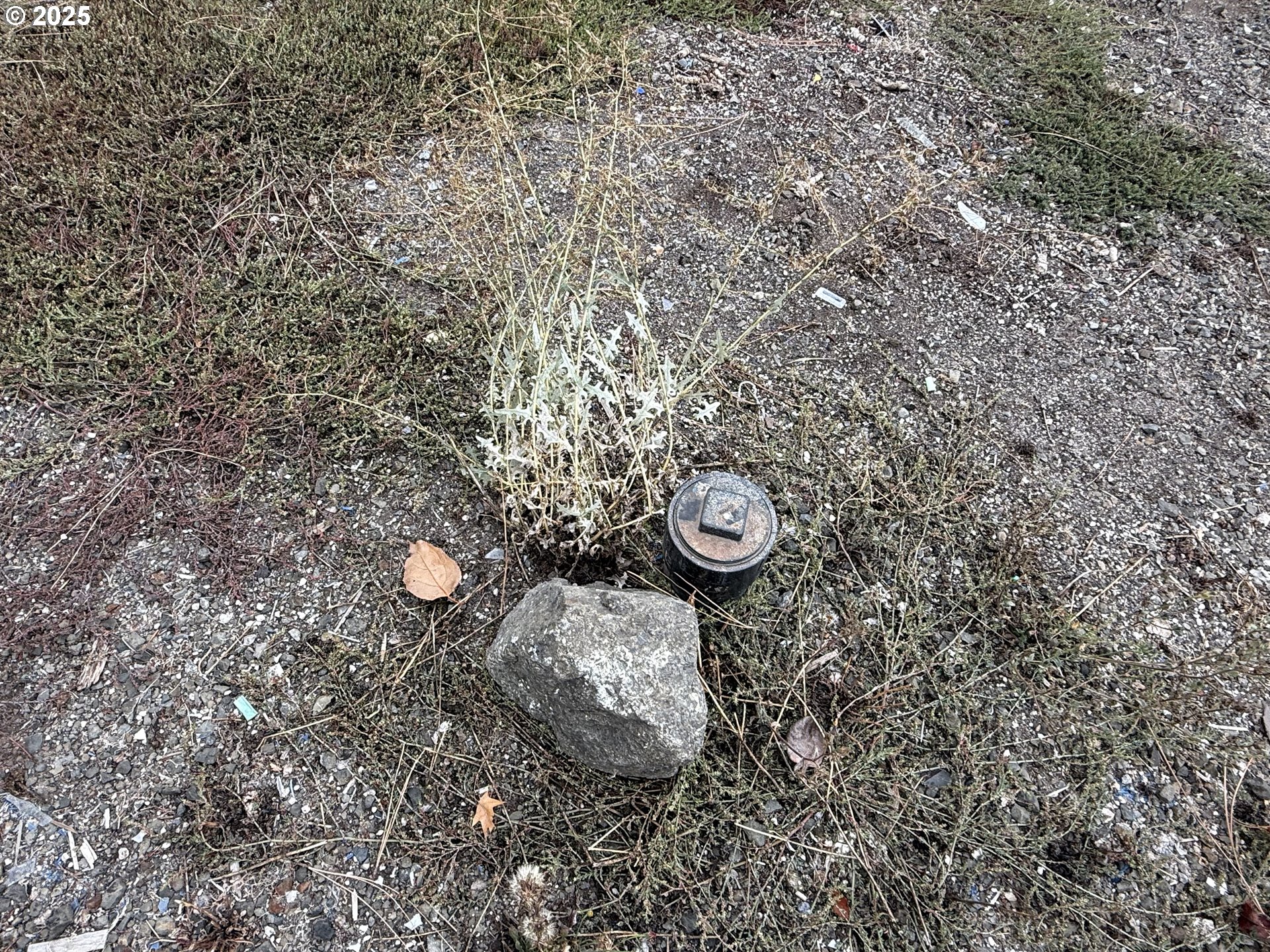 271 Southeast Robinson Street Winston, OR 97496 - Photo 9 of 20