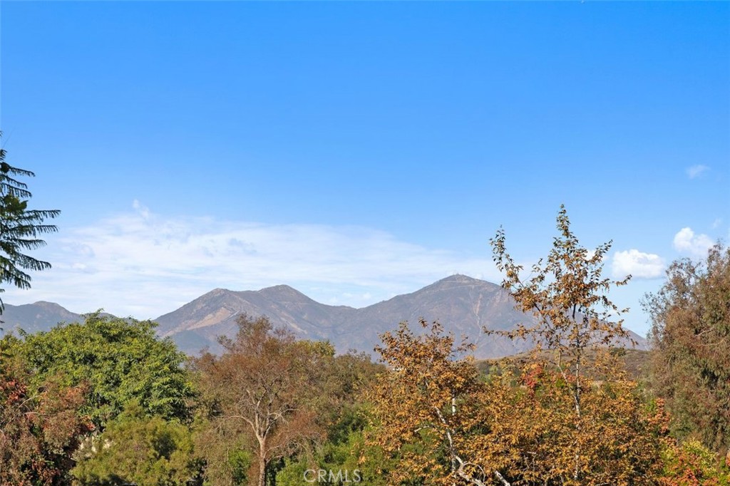8 Tradition Lane Rancho Santa Margarita, CA 92688 - Photo 24 of 43 a view of a house with a mountain in the background