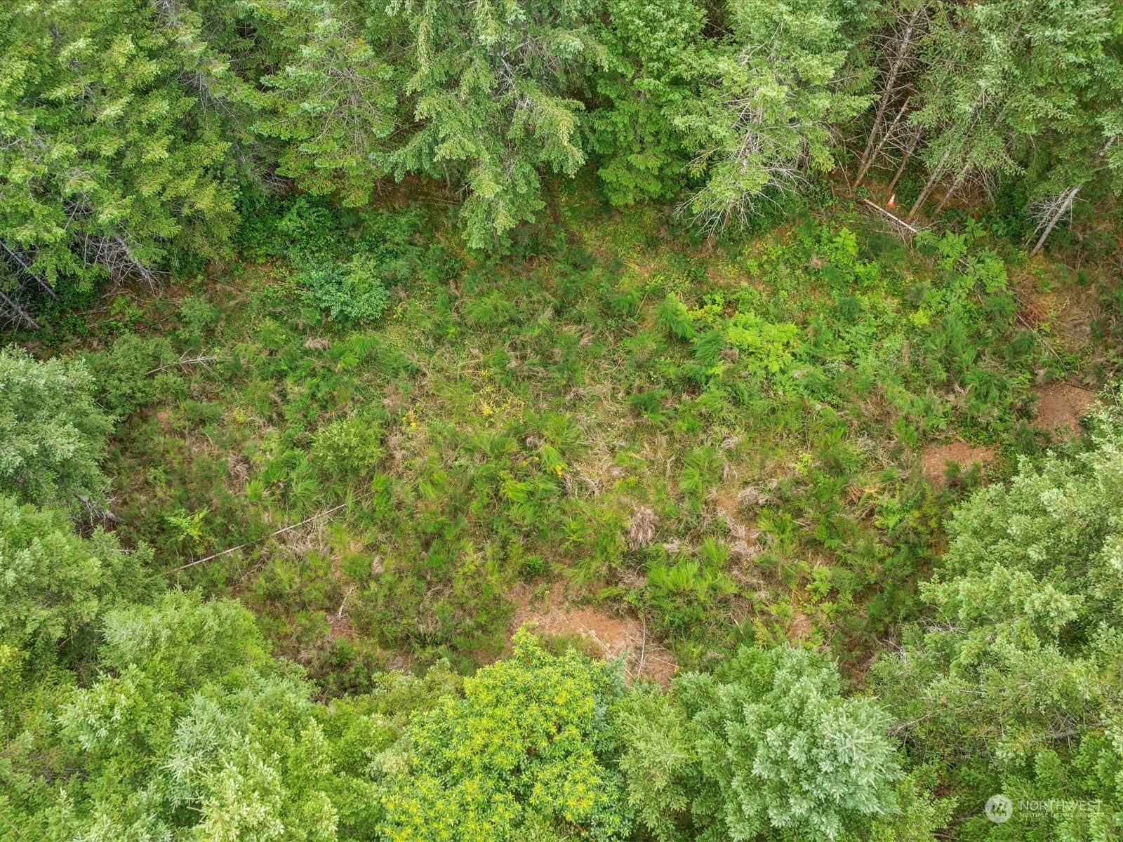 0 East Pickering Road Shelton, WA 98584 - Photo 8 of 18 Gallery Image 8