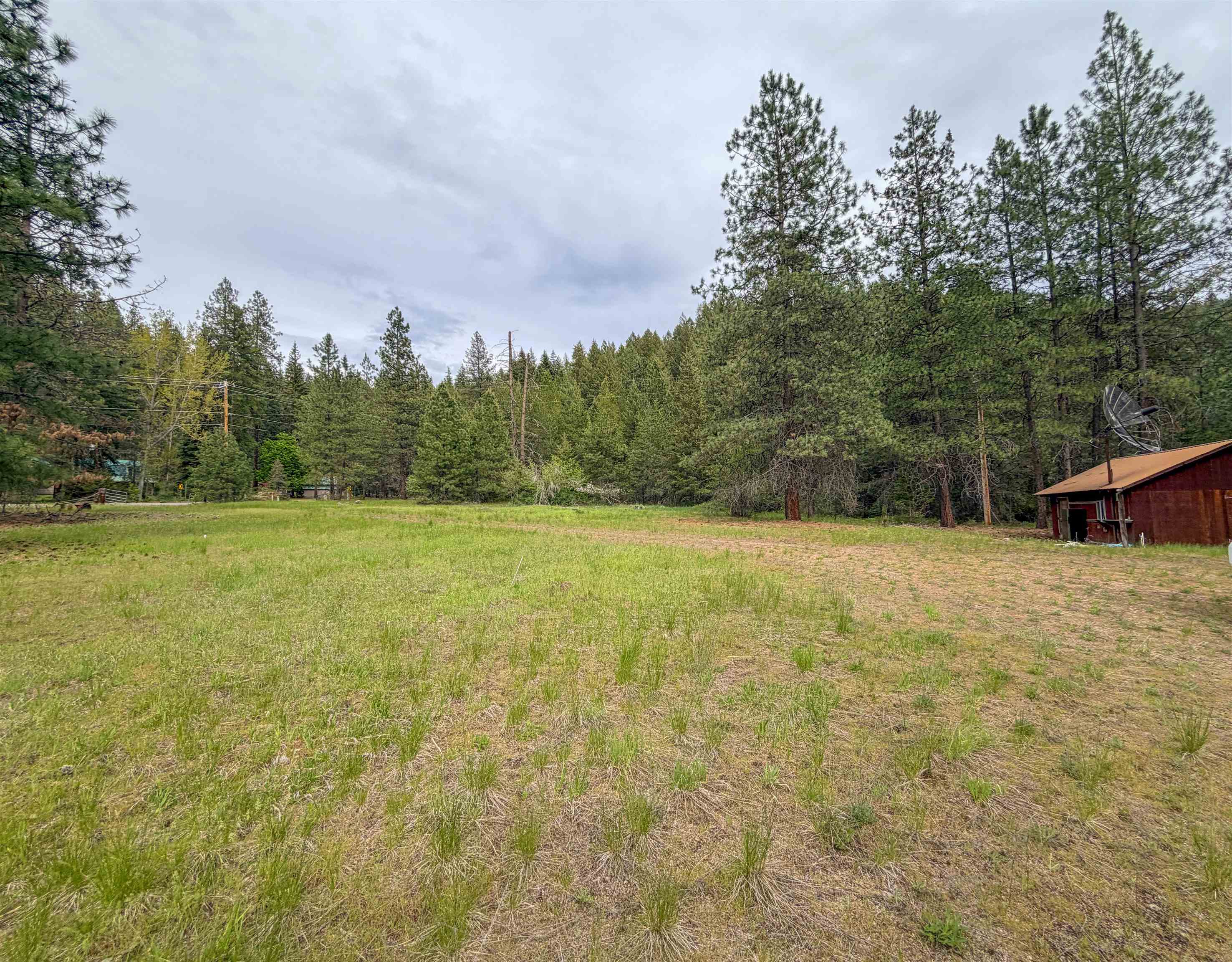 14451 LeClerc Road North Cusick, WA 99119 - Photo 6 of 33