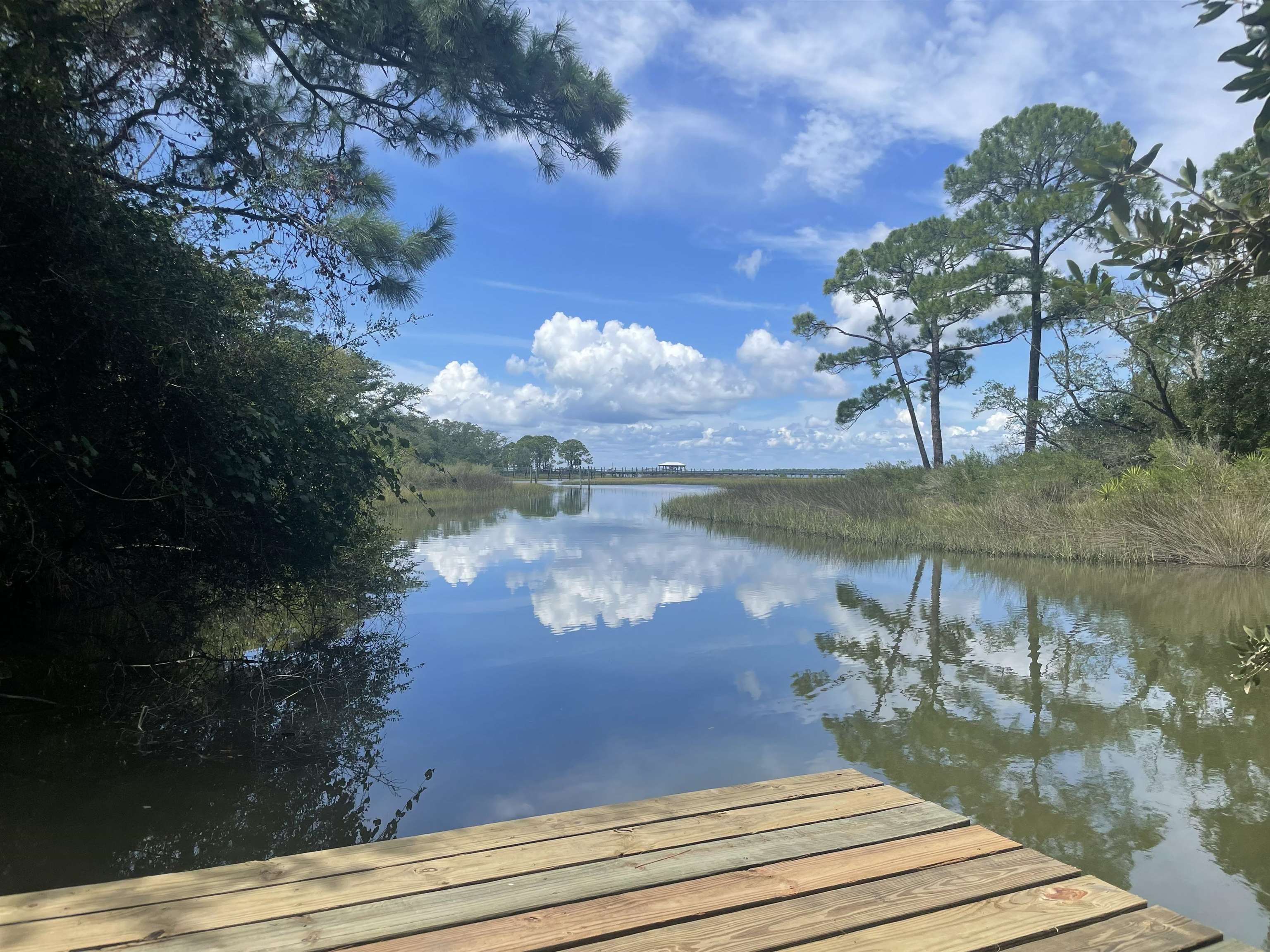 23 Tom Roberts Road Alligator Point, FL 32346 - Photo 7 of 9