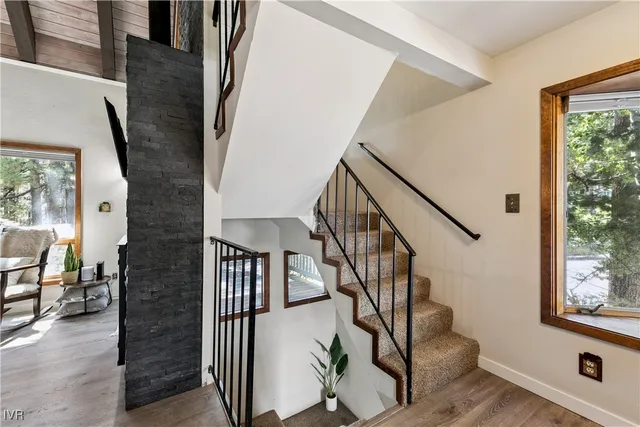 a view of a park with a tree