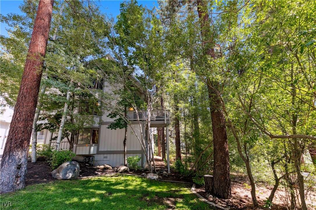 908 Harold Drive, Unit 23 Incline Village, NV 89451 - Photo 29 of 36 a view of a backyard with potted plants and large trees