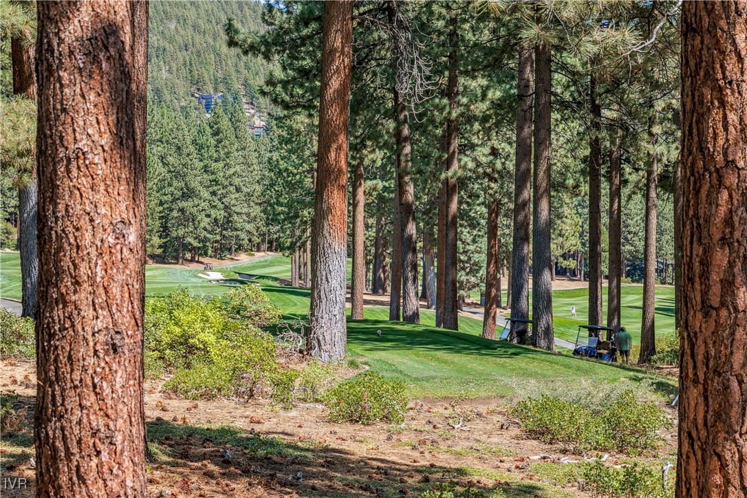 908 Harold Drive, Unit 23 Incline Village, NV 89451 - Photo 31 of 36