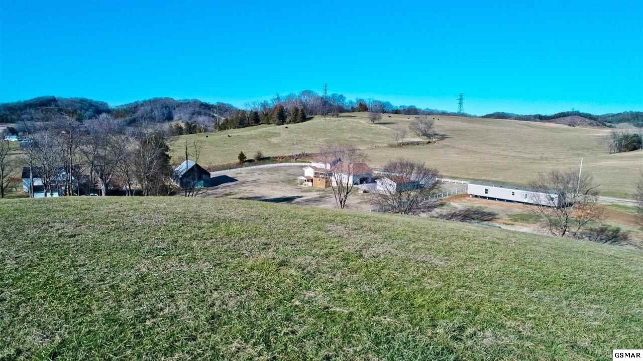64 Upper West Road Parrottsville, TN 37843 - Photo 9 of 34 Gallery Image 9