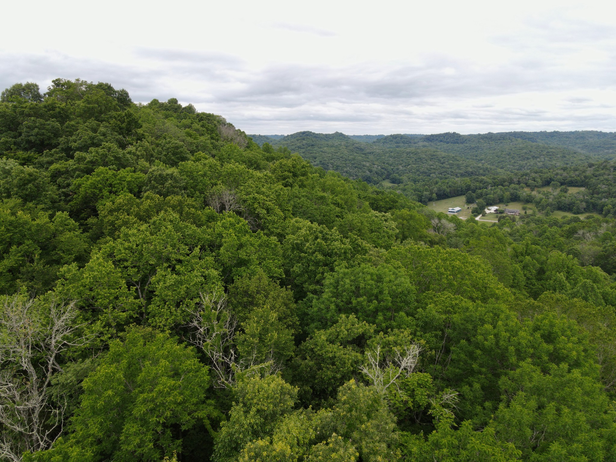 15185 Hopewell Road Silver Point, TN 38582 - Photo 3 of 9