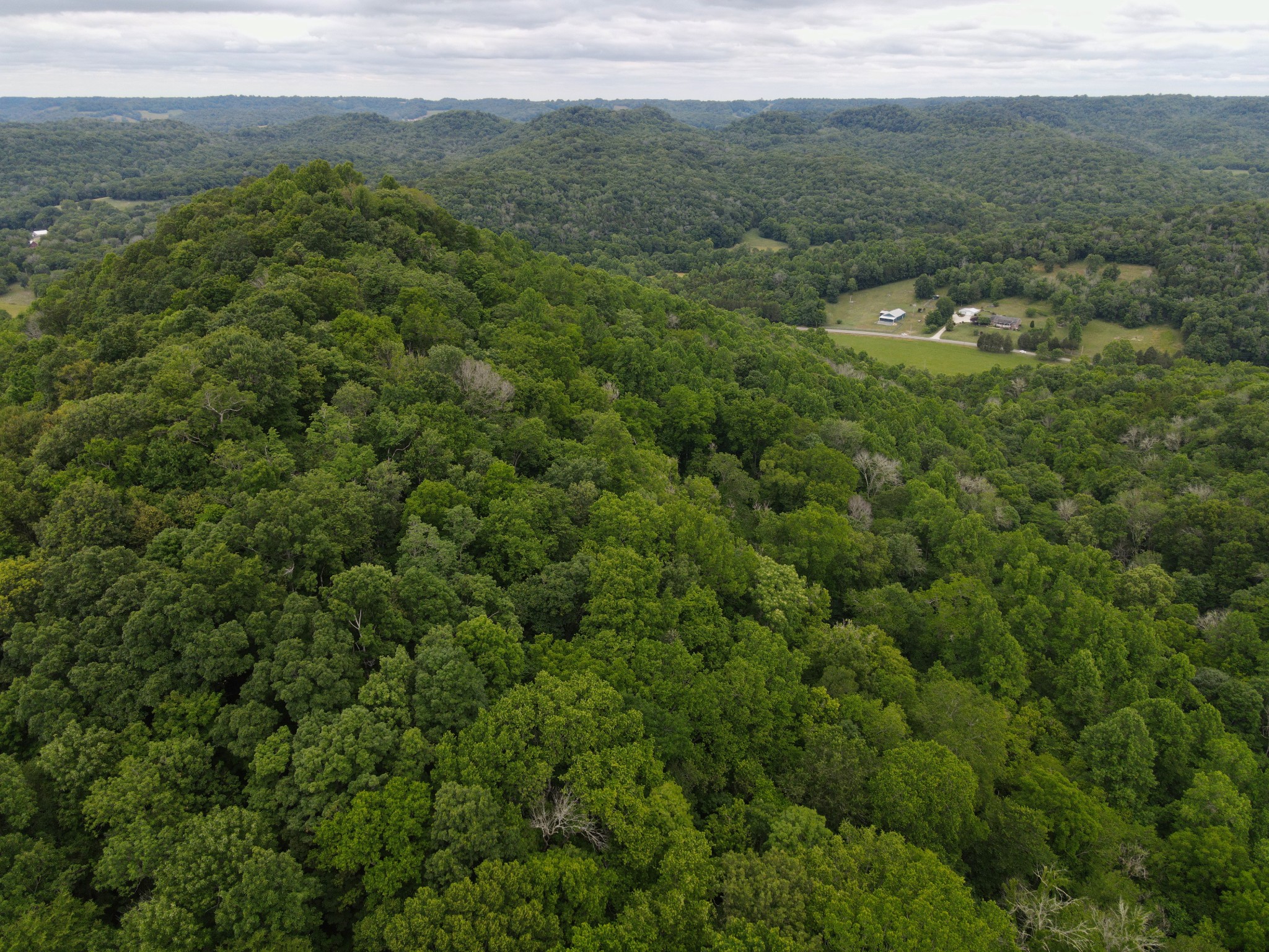15185 Hopewell Road Silver Point, TN 38582 - Photo 4 of 9
