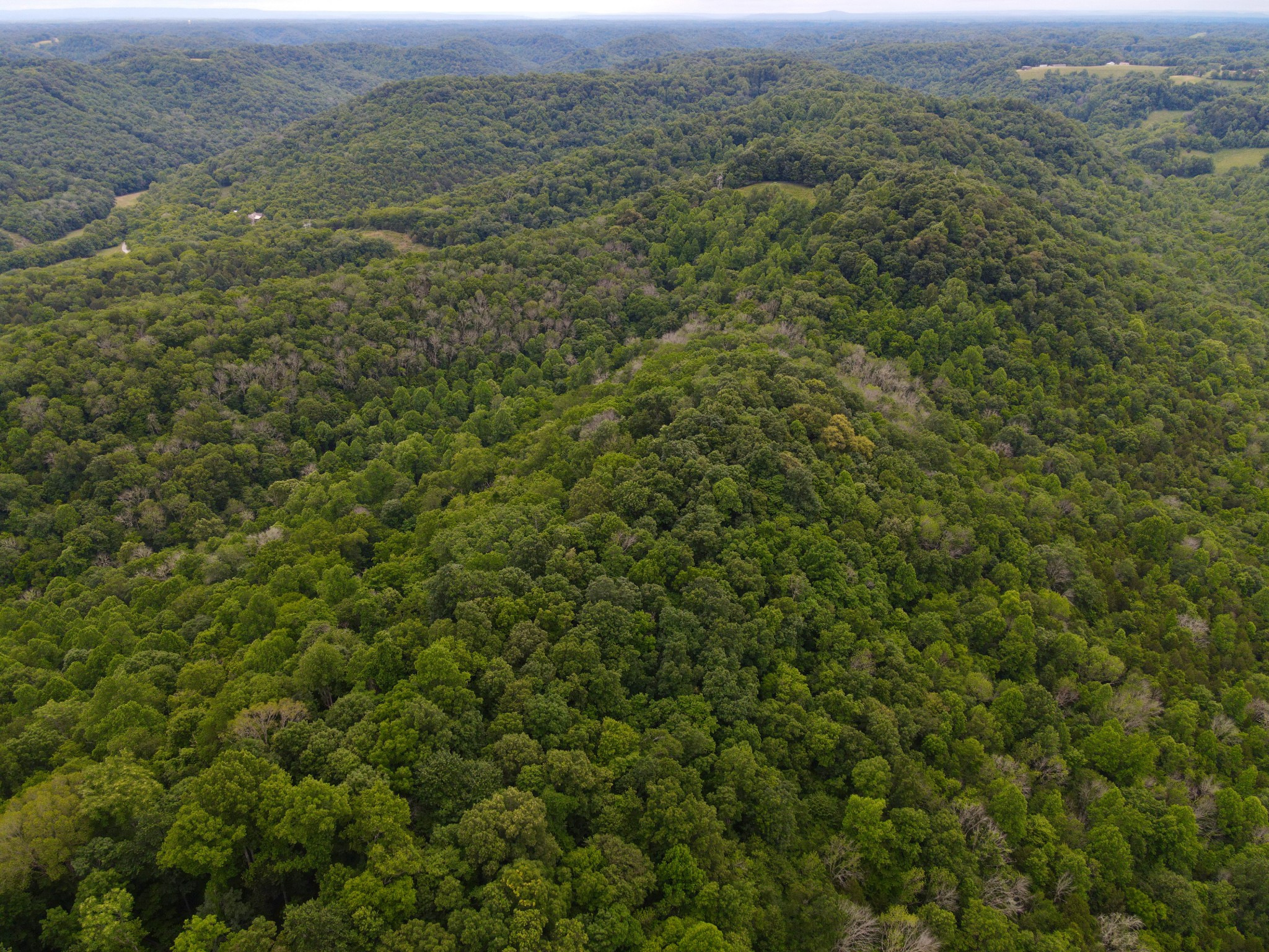 15185 Hopewell Road Silver Point, TN 38582 - Photo 8 of 9