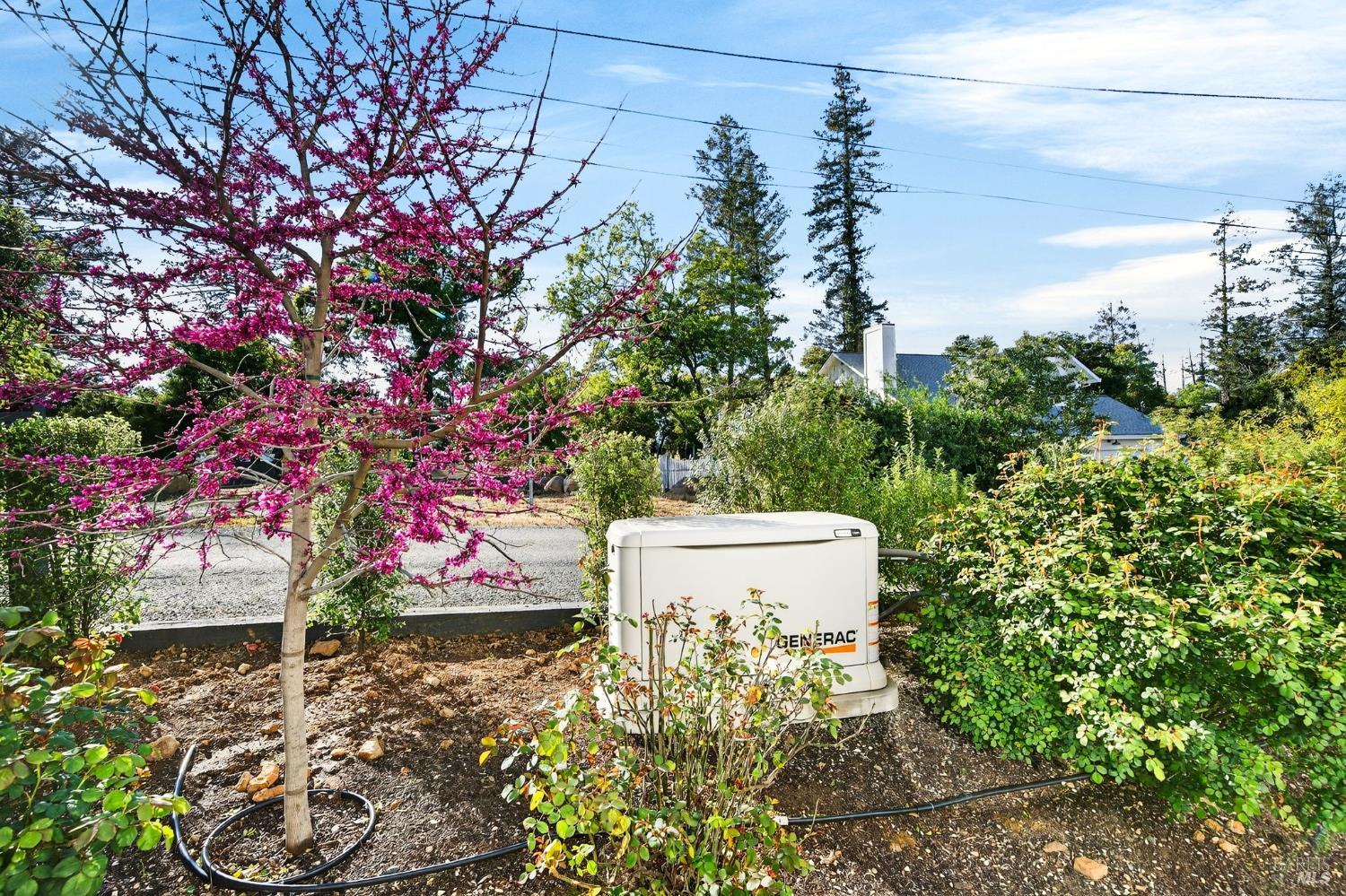 16 Upland Road St. Helena, CA 94574 - Photo 47 of 97