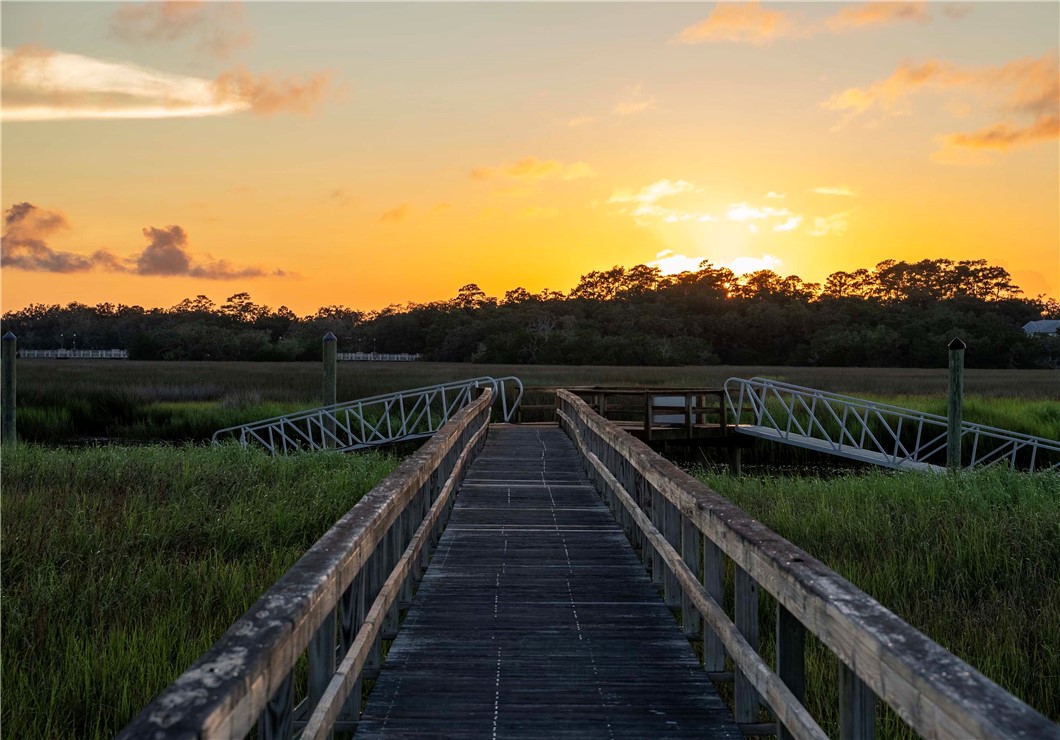 14 Atlantic Point Drive St. Simons Island, GA 31522 - Photo 62 of 64
