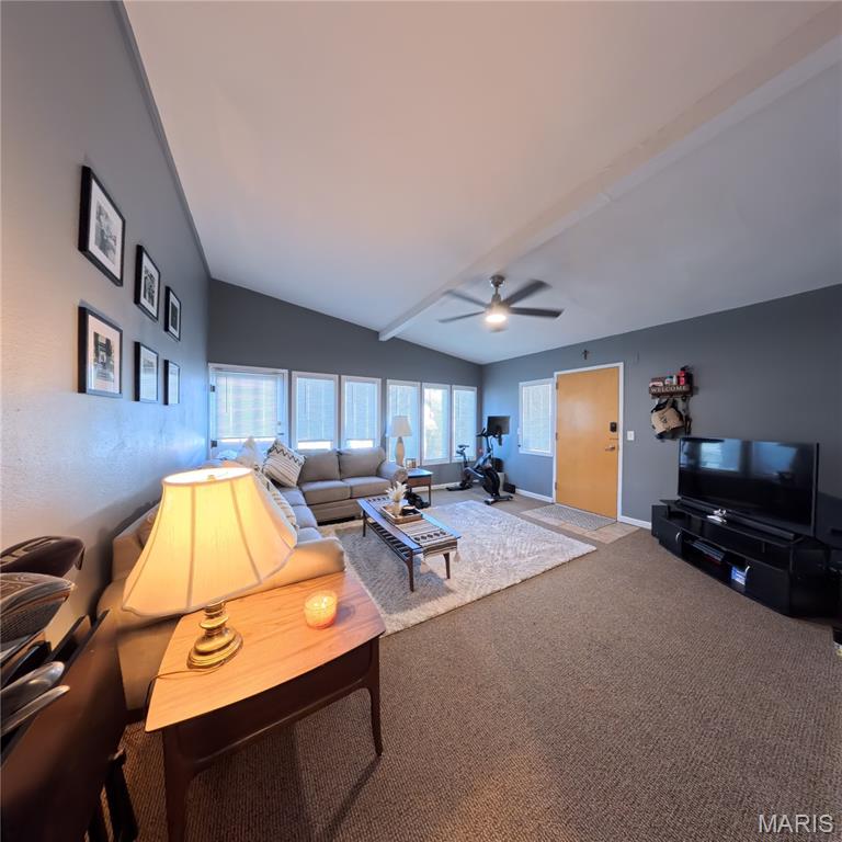 408 East Washington Street O'Fallon, IL 62269 - Photo 20 of 30