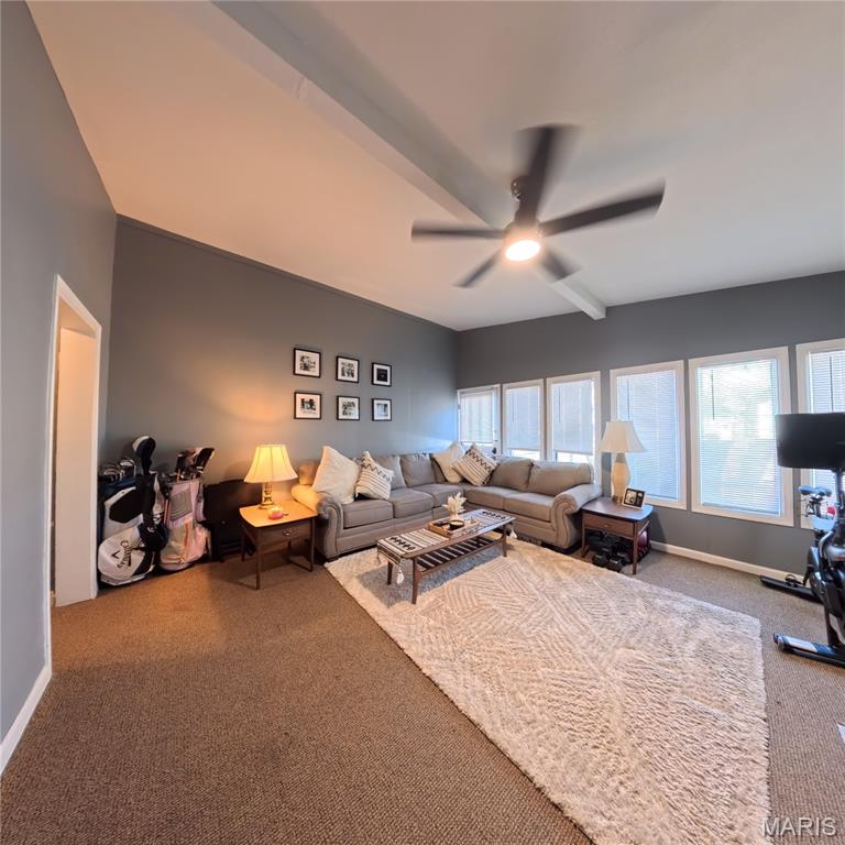 408 East Washington Street O'Fallon, IL 62269 - Photo 21 of 30
