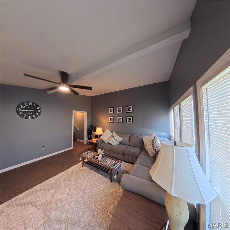 408 East Washington Street O'Fallon, IL 62269 - Photo 22 of 30