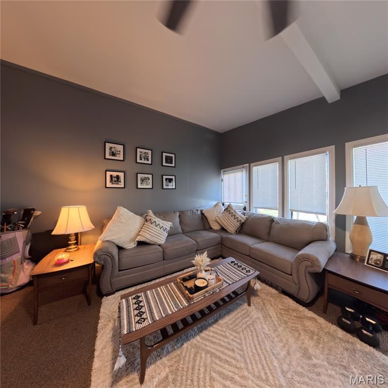 408 East Washington Street O'Fallon, IL 62269 - Photo 23 of 30