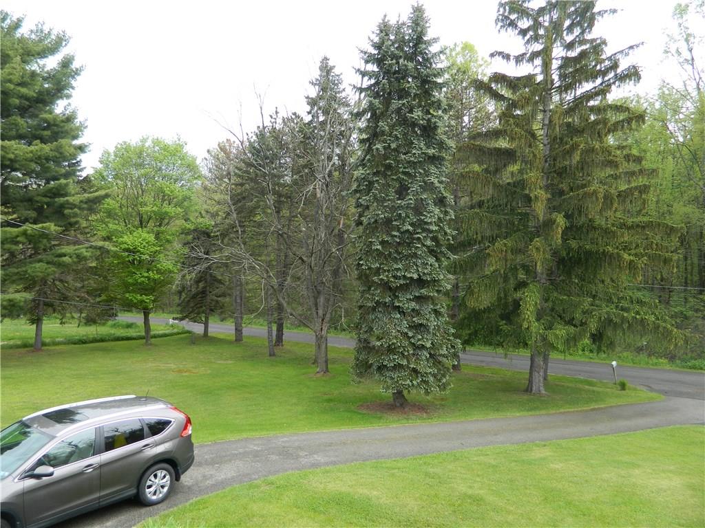 82 Elm Road Hickory, PA 15340 - Photo 3 of 25 The view from the deck/porch showing the street view and mature trees.