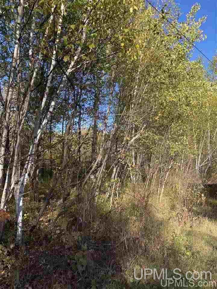 T-wi Wi 54534 Road Hurley, WI 54534 - Photo 2 of 35