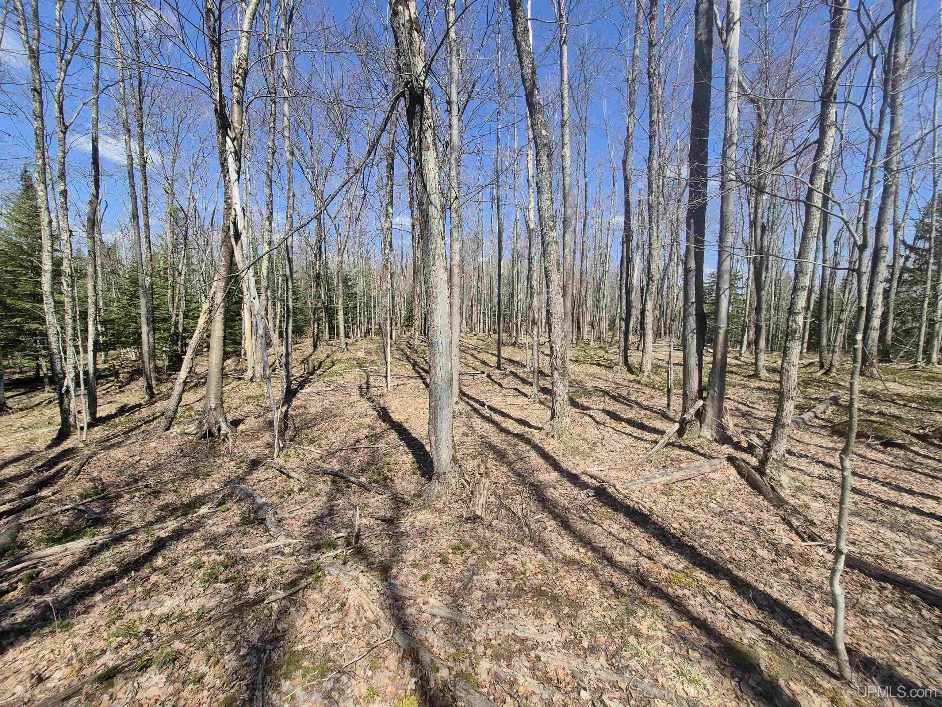 12-acres Salmon Road L'Anse, MI 49946 - Photo 25 of 39