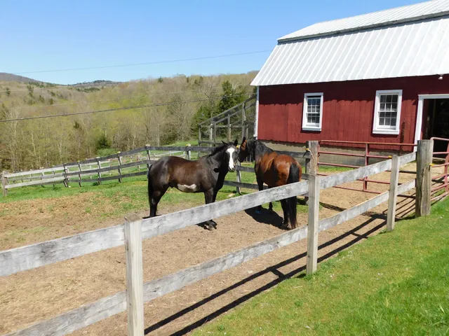 $850,000 | 580 Sugar Hill Road, Wallingford, VT 05742