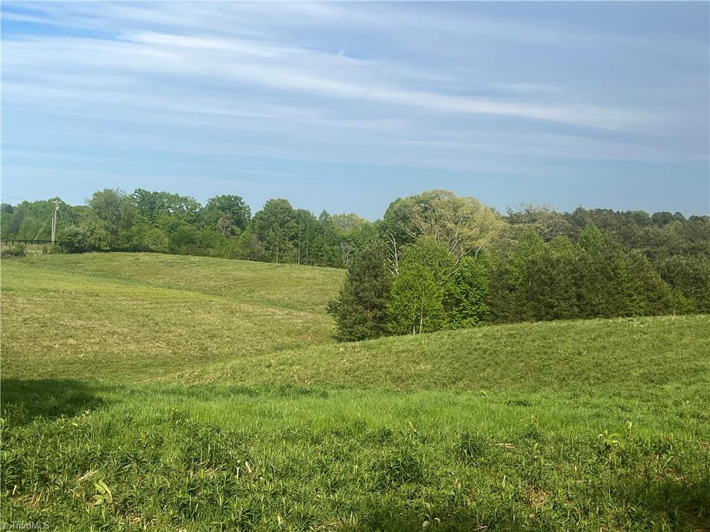 0 George Chandler Road Mount Airy, NC 27030 - Photo 1 of 4