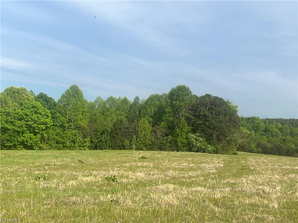 0 George Chandler Road Mount Airy, NC 27030 - Photo 2 of 4
