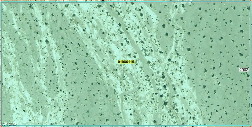 2902 North Falcon Road Amargosa Valley, NV 89020 - Photo 1 of 3