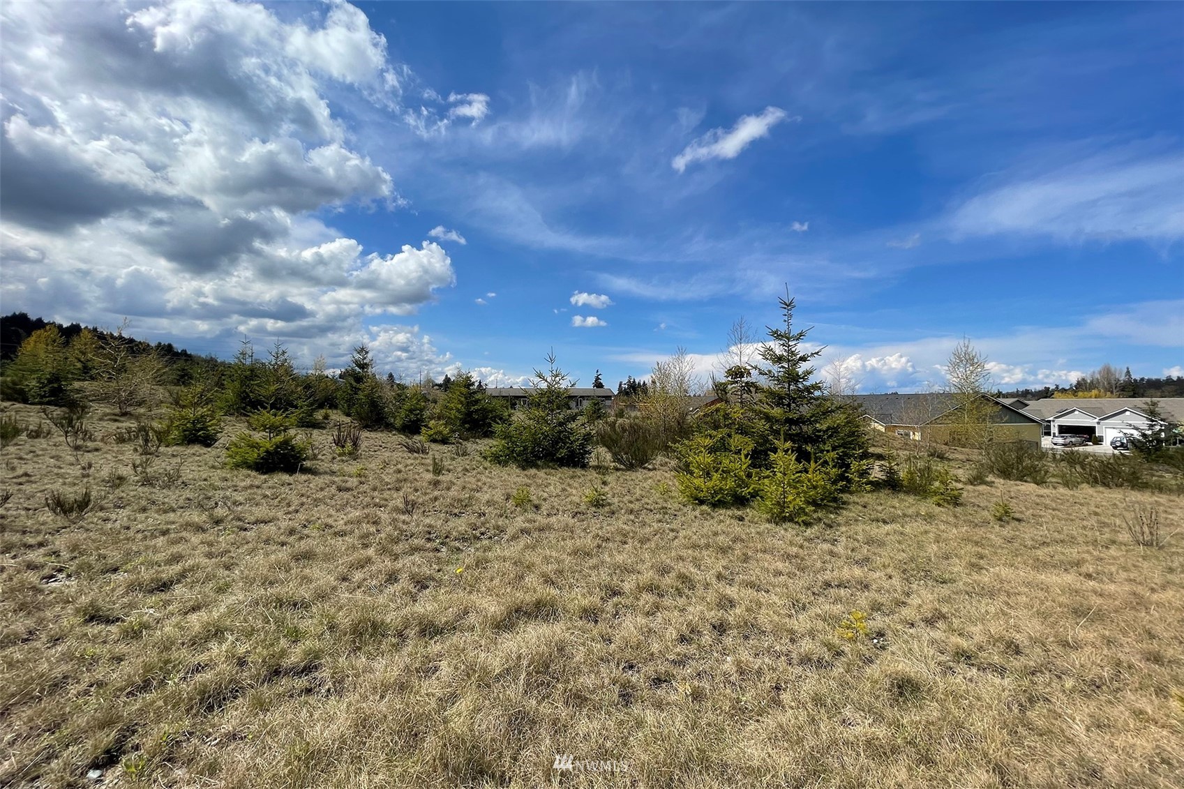 9999 Stratus Loop Sequim, WA 98382 - Photo 18 of 40 a view of a dry yard with trees