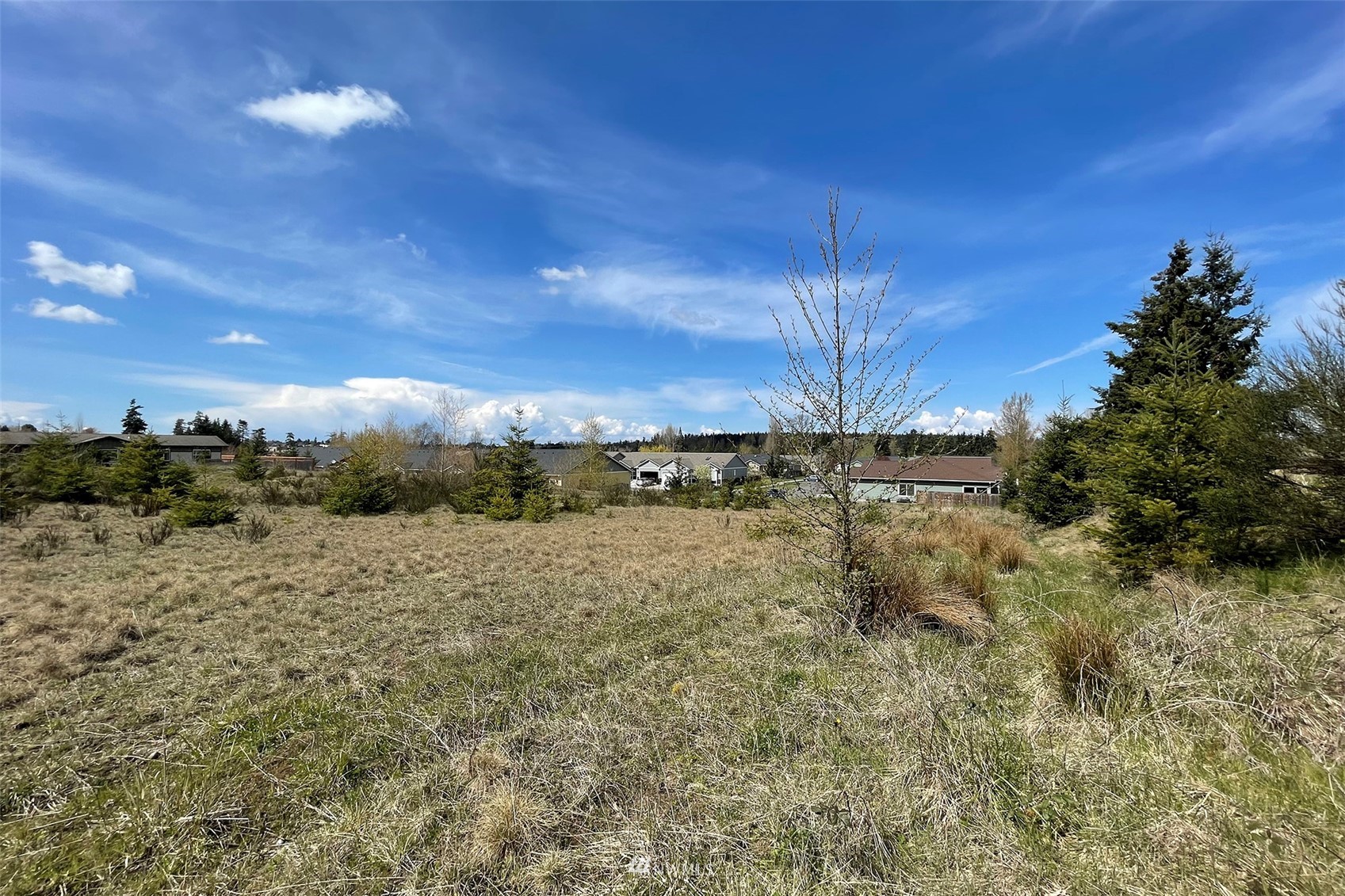 9999 Stratus Loop Sequim, WA 98382 - Photo 22 of 40 a view of a dry yard