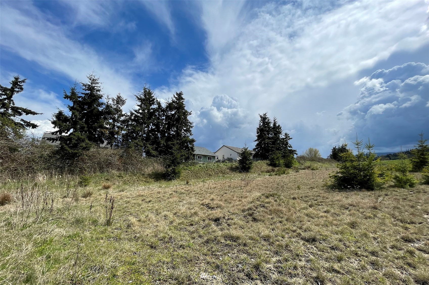 9999 Stratus Loop Sequim, WA 98382 - Photo 27 of 40 a view of a yard
