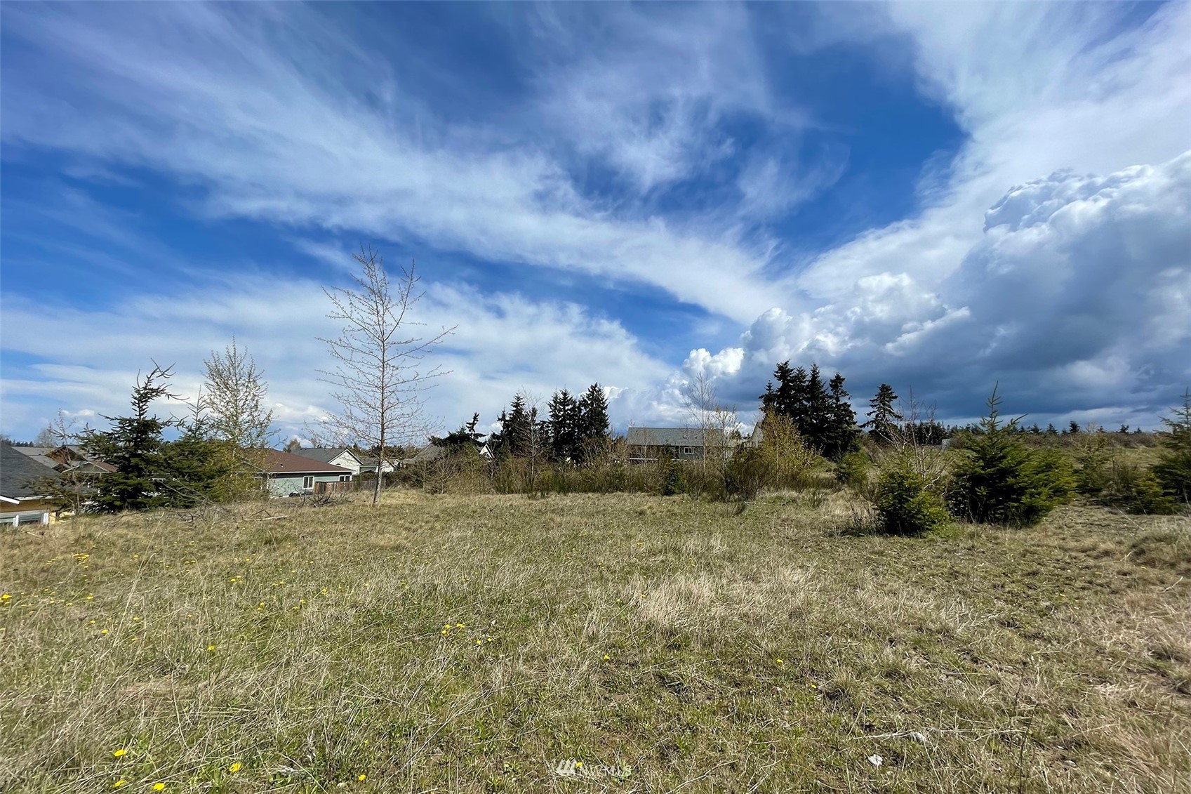 9999 Stratus Loop Sequim, WA 98382 - Photo 28 of 40 a view of a field
