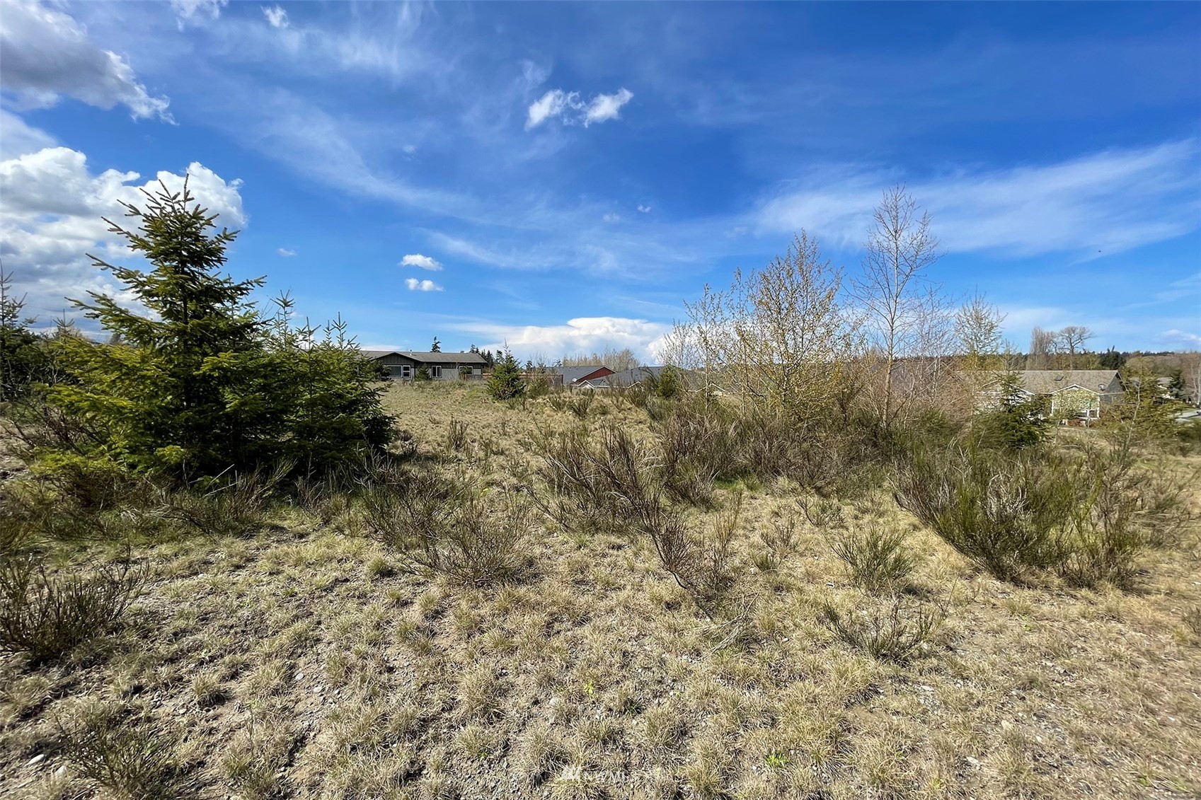 9999 Stratus Loop Sequim, WA 98382 - Photo 31 of 40 a view of a yard