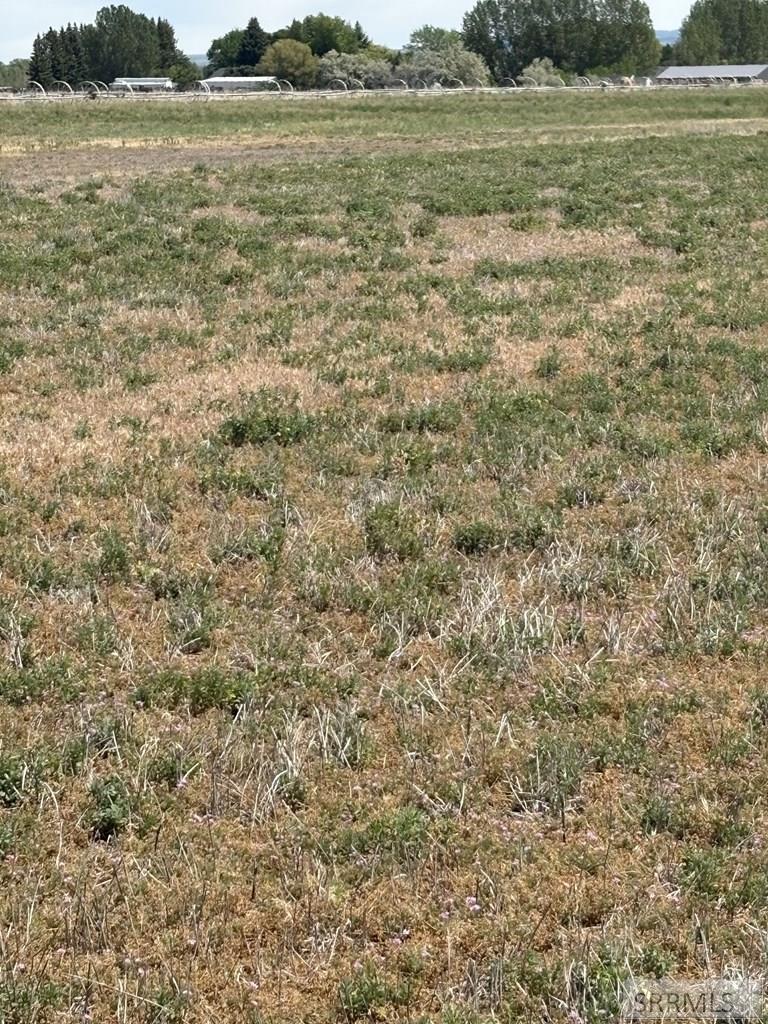 136 North 4139 Street Rigby, ID 83442 - Photo 2 of 4