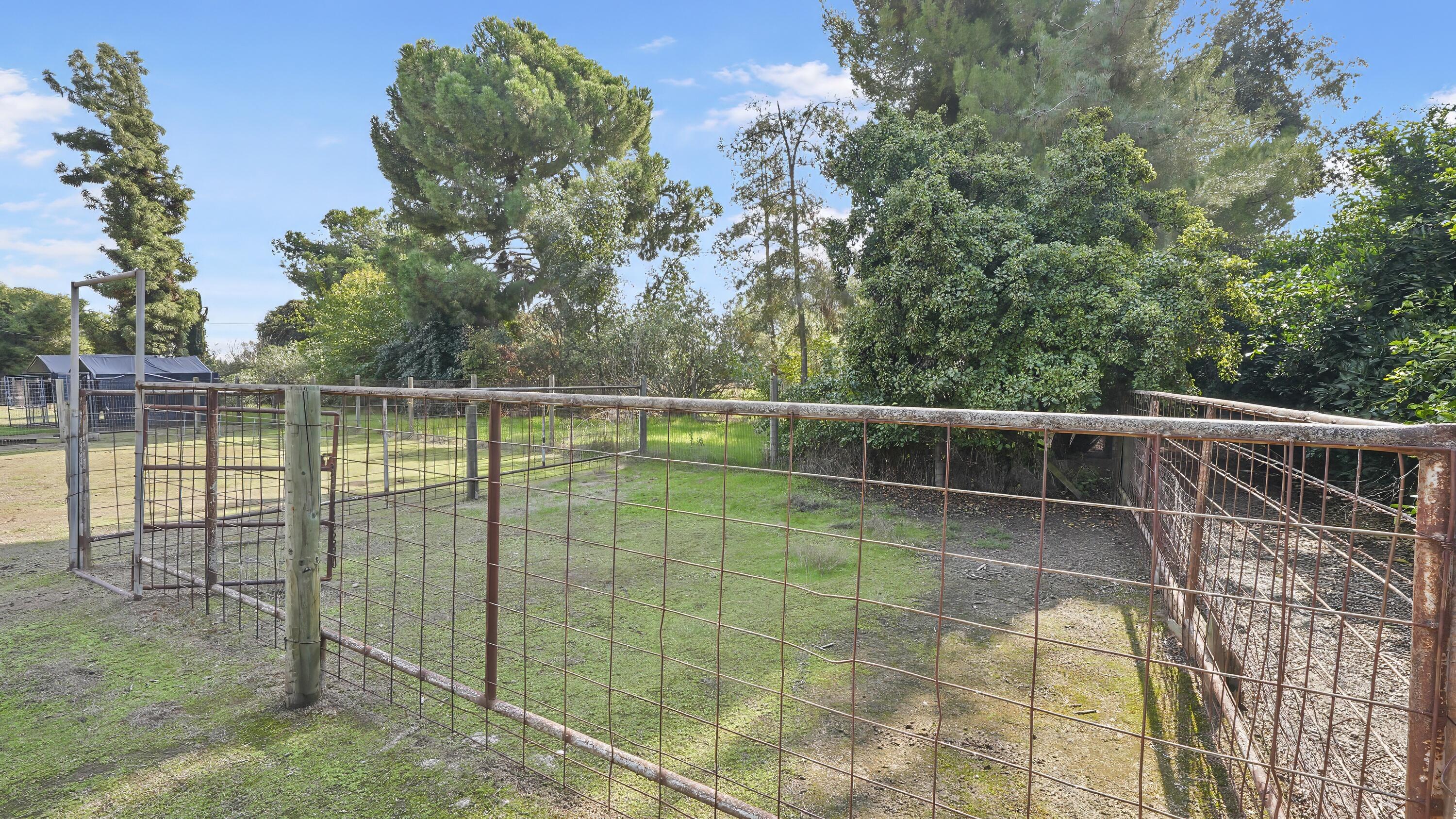 651 South Cornucopia Road Exeter, CA 93221 - Photo 40 of 42 39
