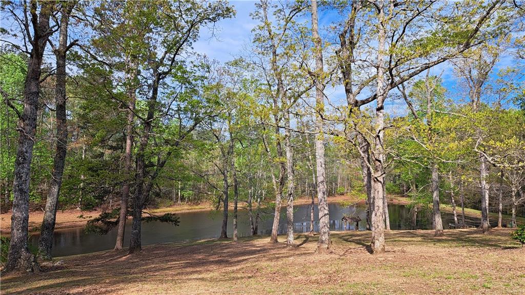 112 Brannon Road Buchanan, GA 30113 - Photo 37 of 39