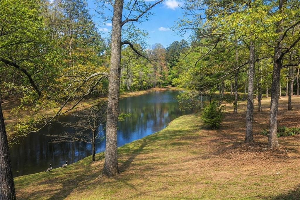 112 Brannon Road Buchanan, GA 30113 - Photo 39 of 39