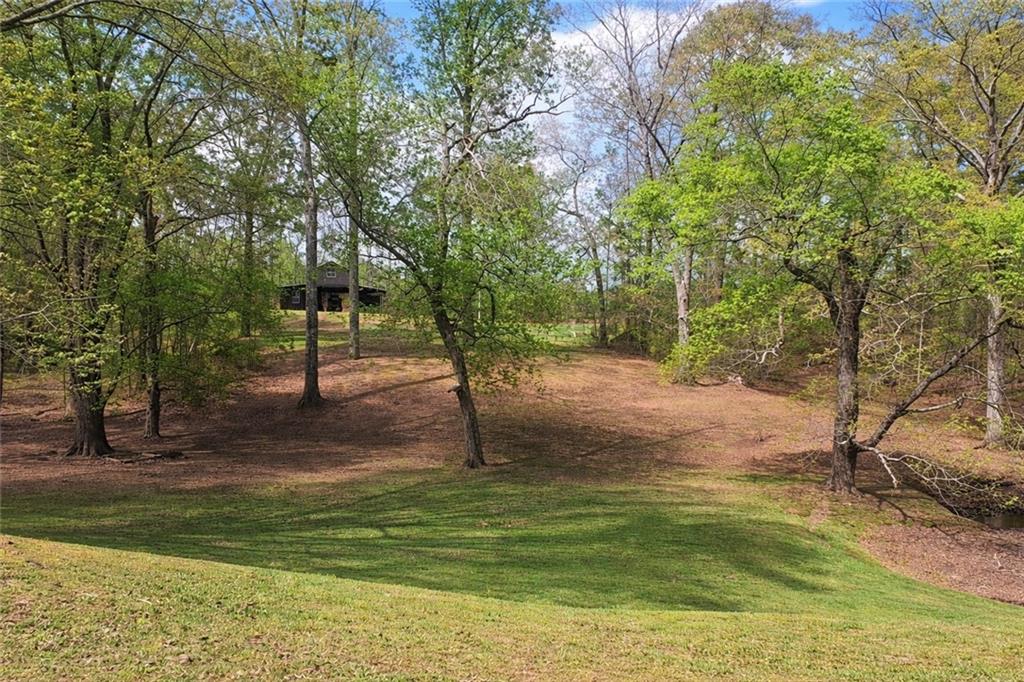 112 Brannon Road Buchanan, GA 30113 - Photo 4 of 39