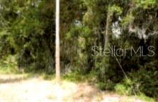 12325 Stagg Road Winter Garden, FL 34787 - Photo 5 of 7 Gallery Image 5