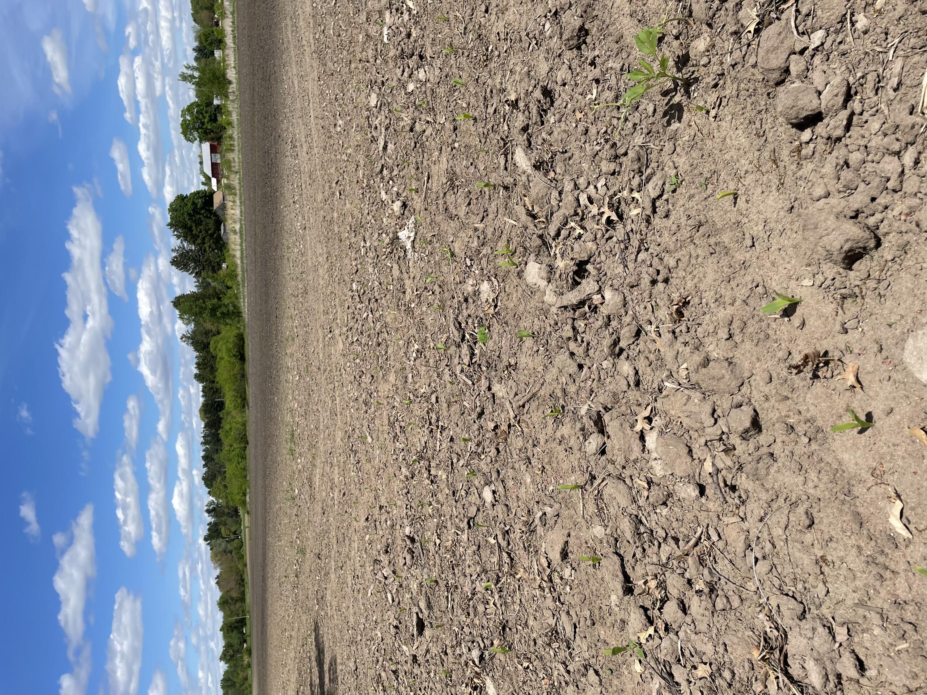 Lt3 West Wenzel Road Jefferson, WI 53549 - Photo 2 of 3 IMG_9568 (1)