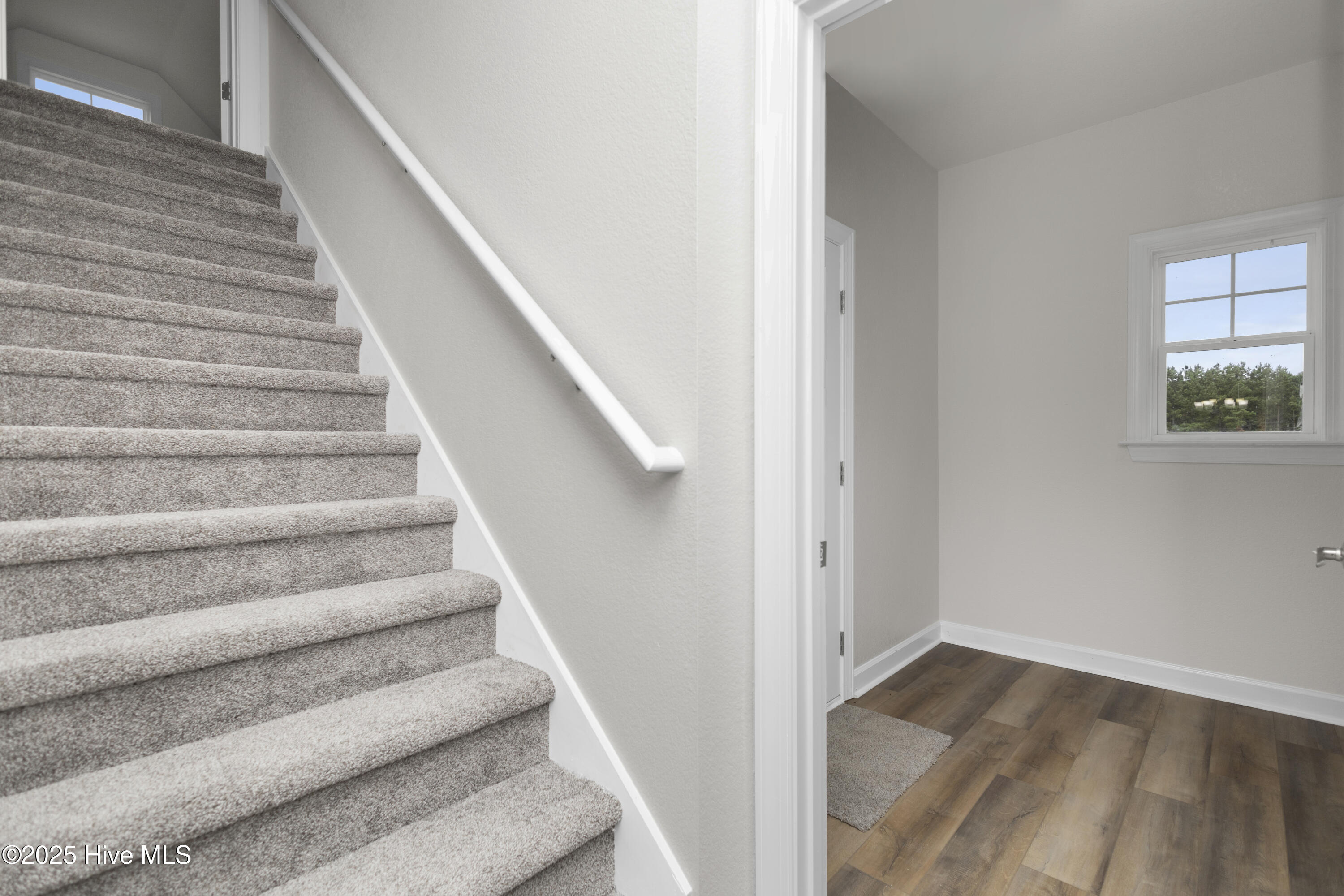 243 Pinch Gut Road Camden, NC 27921 - Photo 23 of 54 18