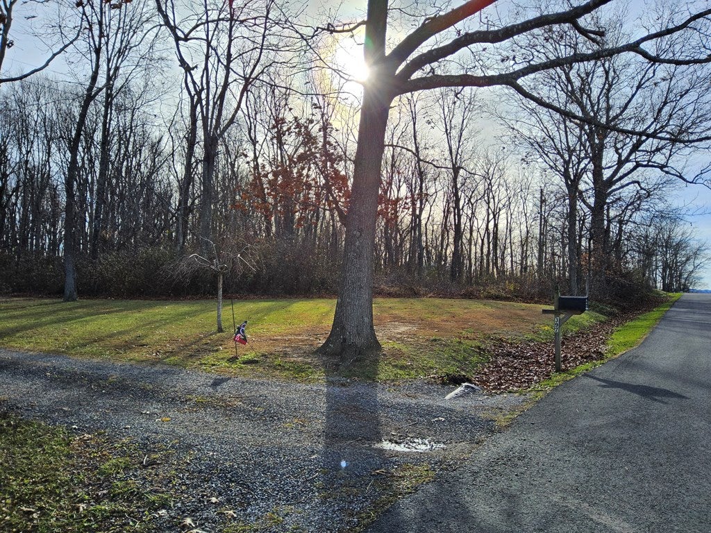 397 Musser Mill Road Crockett, VA 24323 - Photo 26 of 27 Gallery Image 26