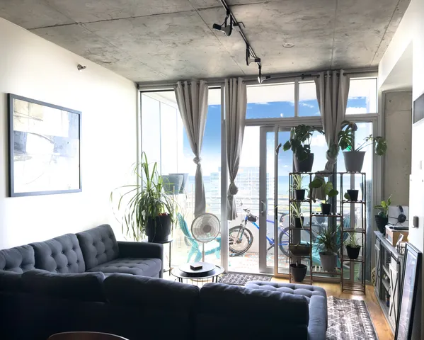 a living room with furniture and potted plants