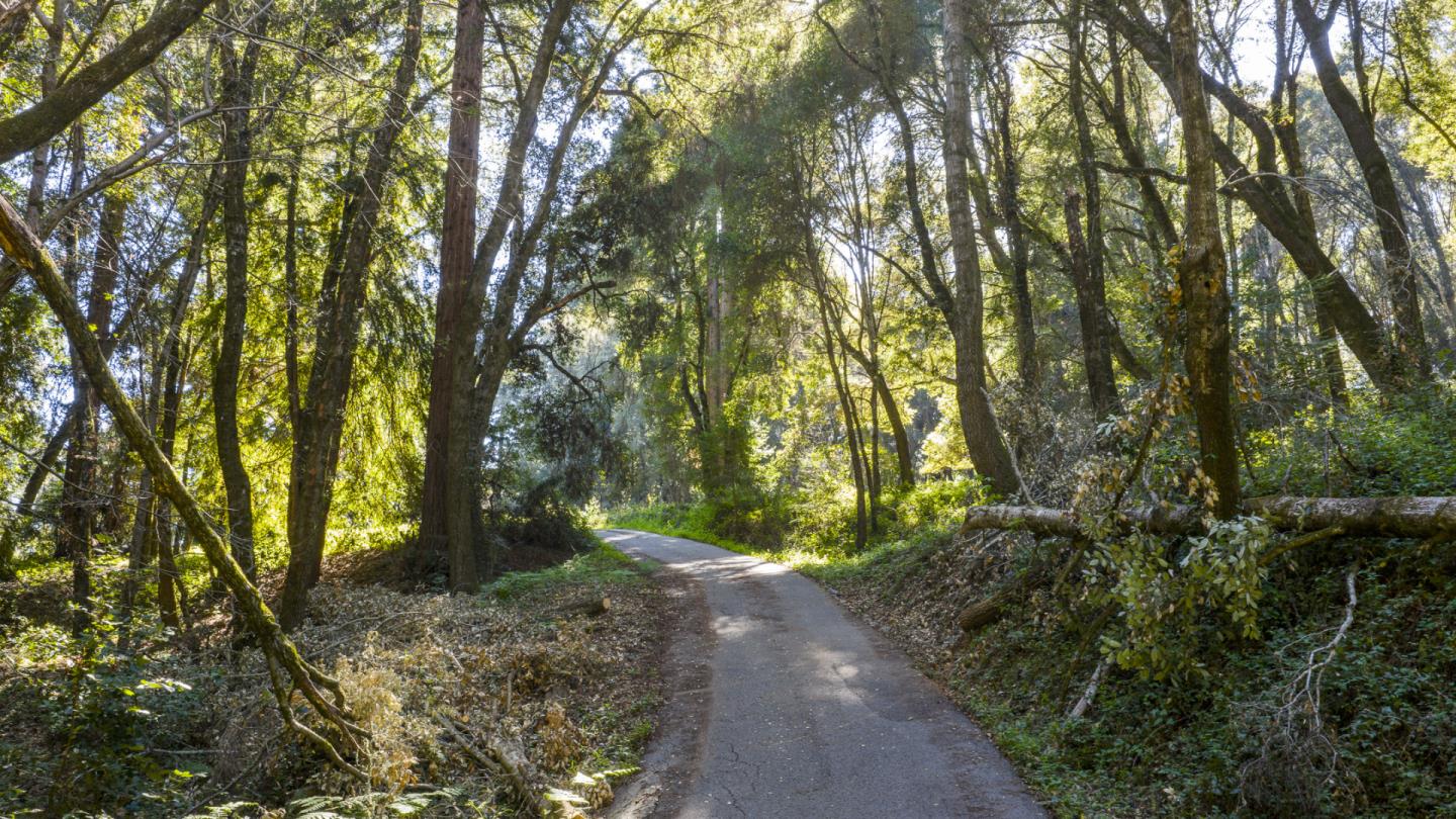 4444 Trout Gulch Road Aptos, CA 95003 - Photo 3 of 58
