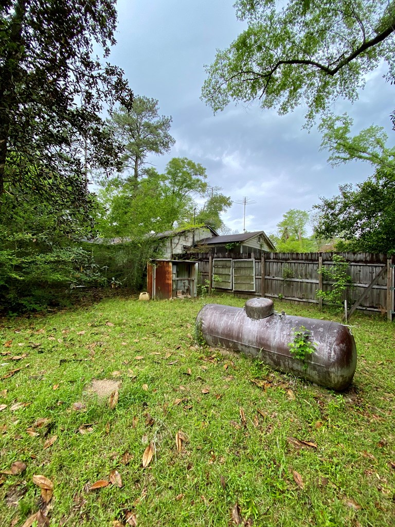 1336 Skipperville Road Ozark, AL 36360 - Photo 4 of 11
