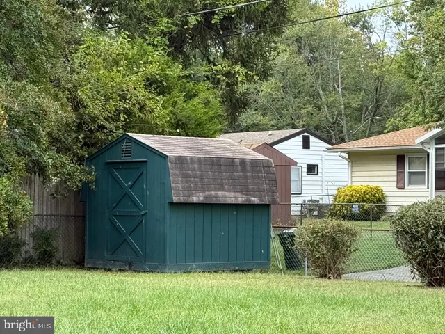 a view of backyard with potted plants and a large tree