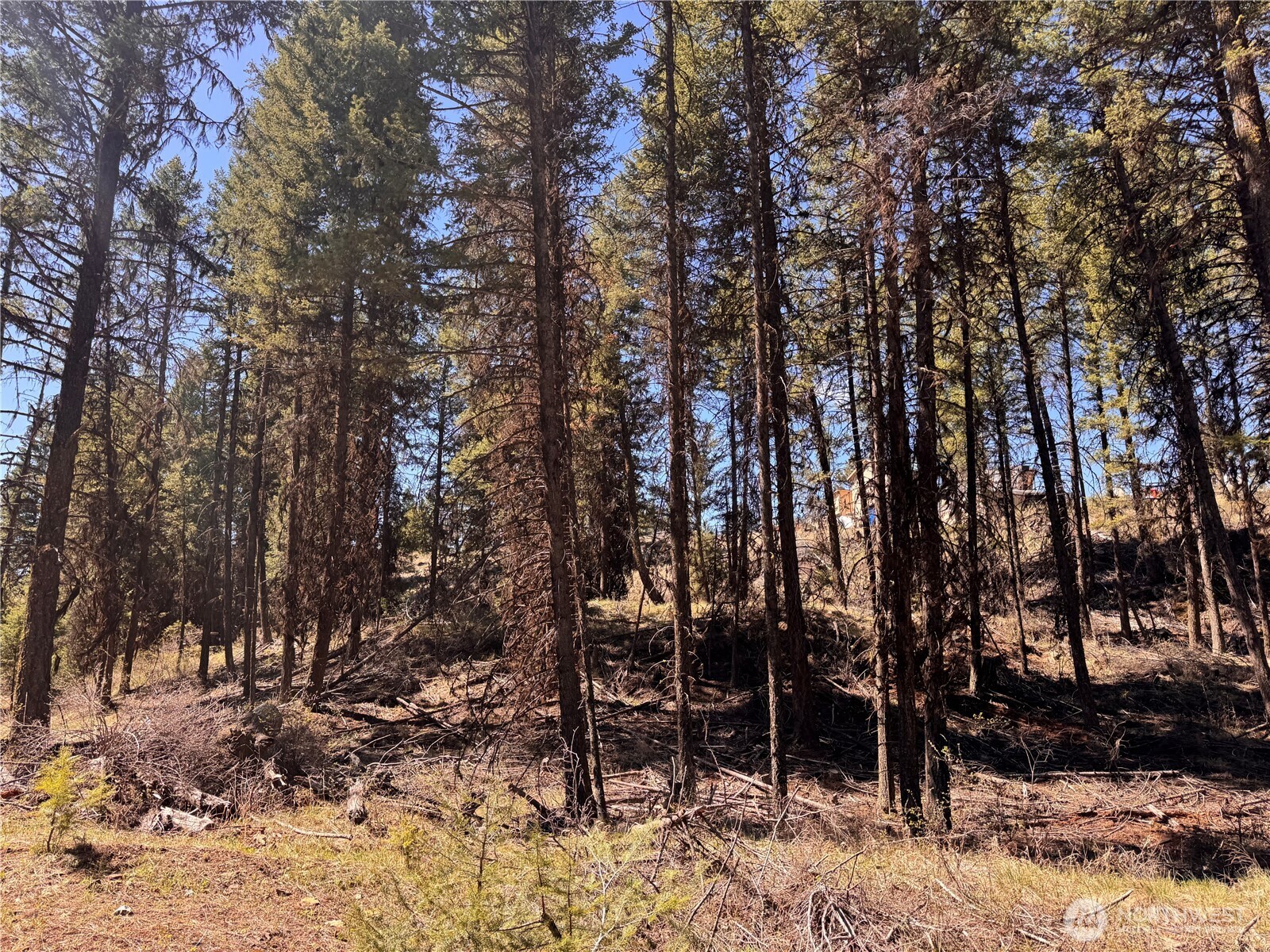 27 Mule Deer Ridge Road Oroville, WA 98844 - Photo 21 of 22 Gallery Image 21