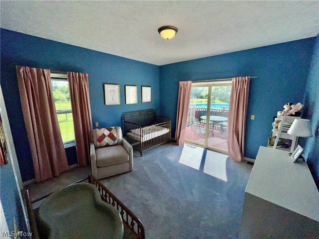 4842 Ridge Road Medina, OH 44256 - Photo 37 of 50