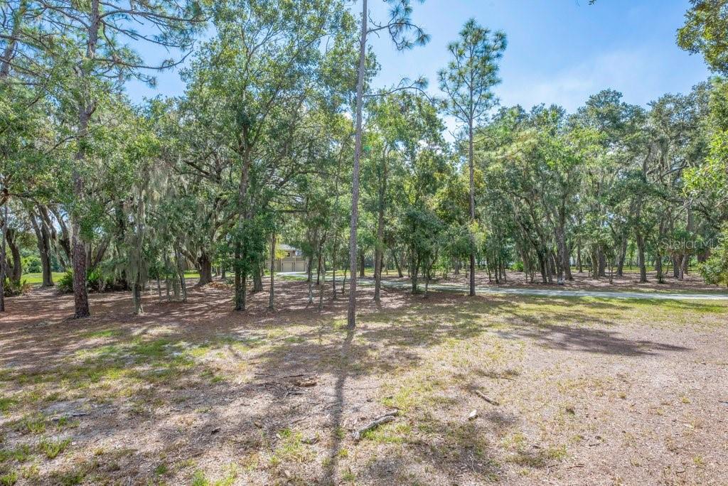 11832 Neal Road Lithia, FL 33547 - Photo 82 of 83 Gallery Image 82