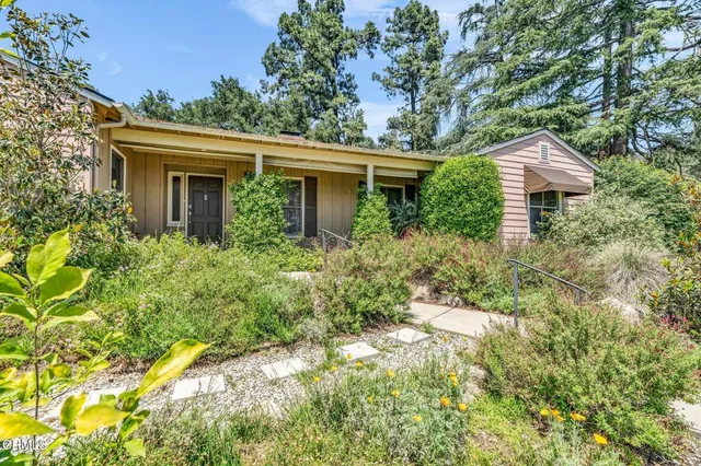 a living room with furniture a rug and a window