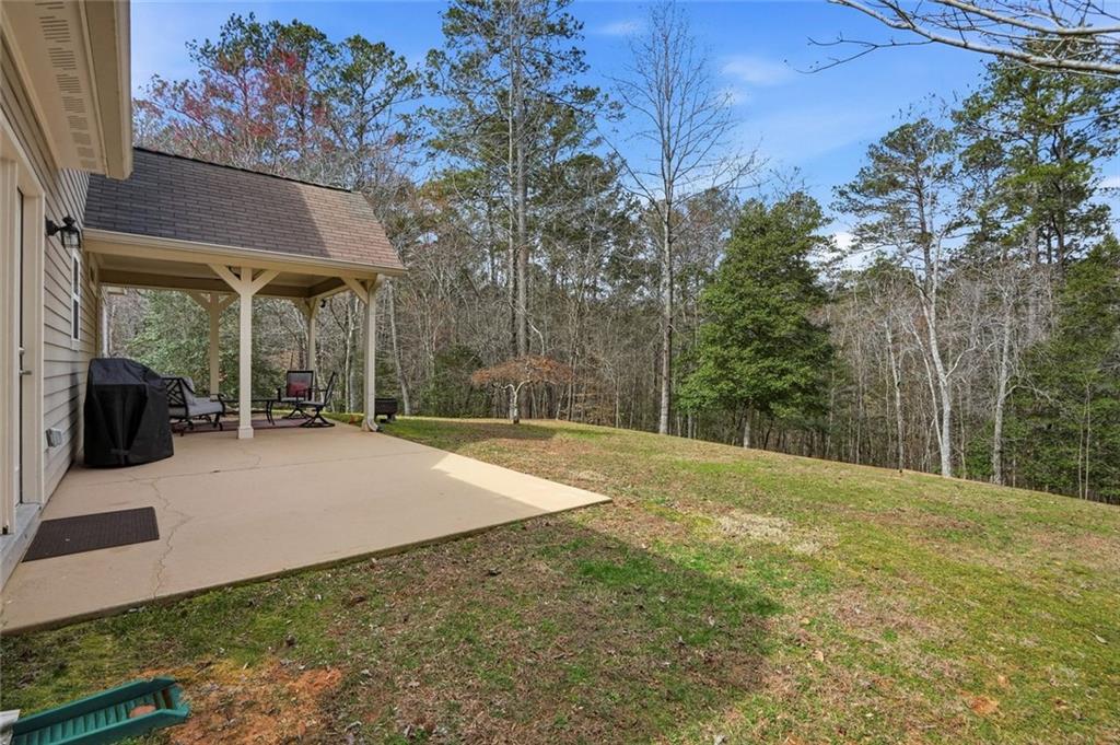 243 Orchard Ridge Trail Jasper, GA 30143 - Photo 23 of 28
