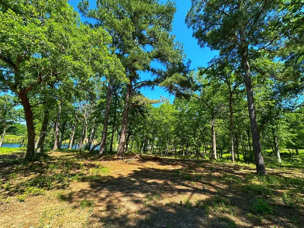 a view of a lake view